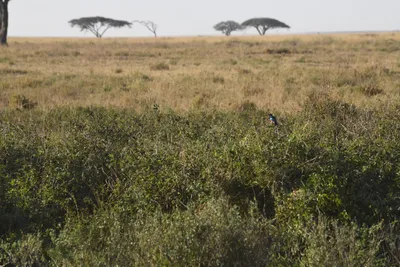 DSC_3805 (Large).JPG